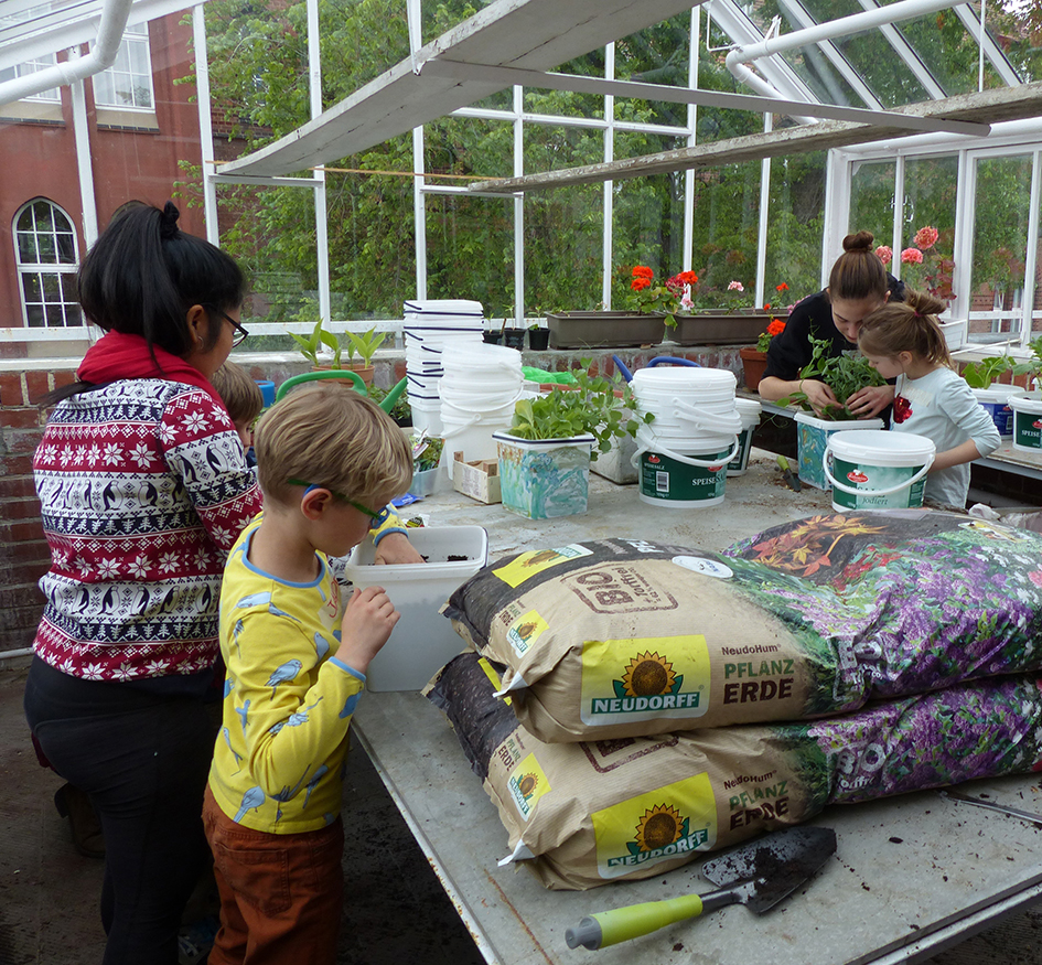 Profilkurs Natur Gewächshaus Galerie