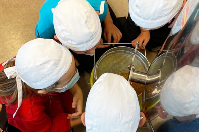 Imkerei an der Sternberg-Grundschule, Pestalozzi-Fröbel-Haus Berlin