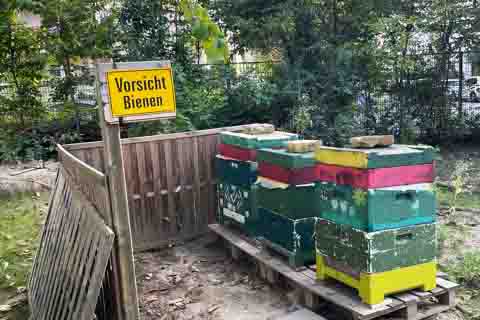 Imkerei an der Sternberg-Grundschule, Pestalozzi-Fröbel-Haus Berlin