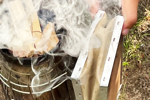 Imkerei an der Sternberg-Grundschule, Pestalozzi-Fröbel-Haus Berlin