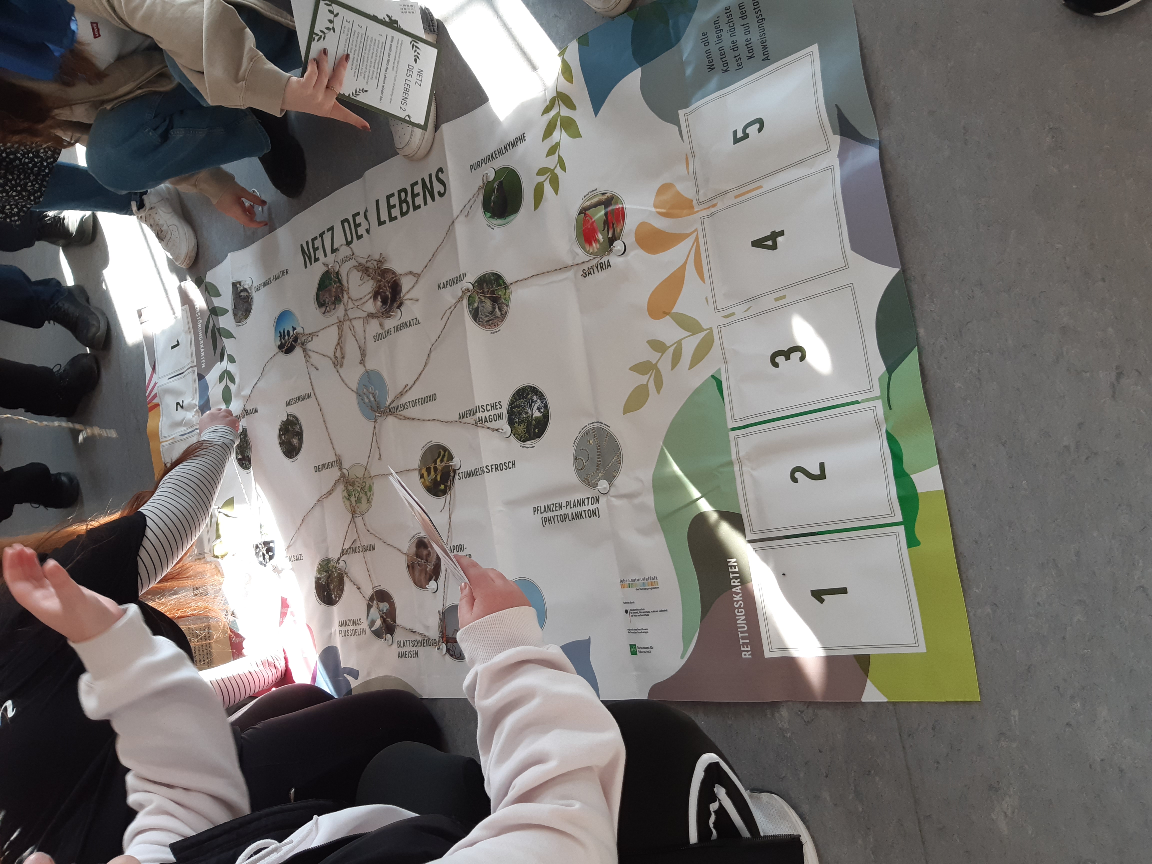 Netz des Lebens - Biodiversität