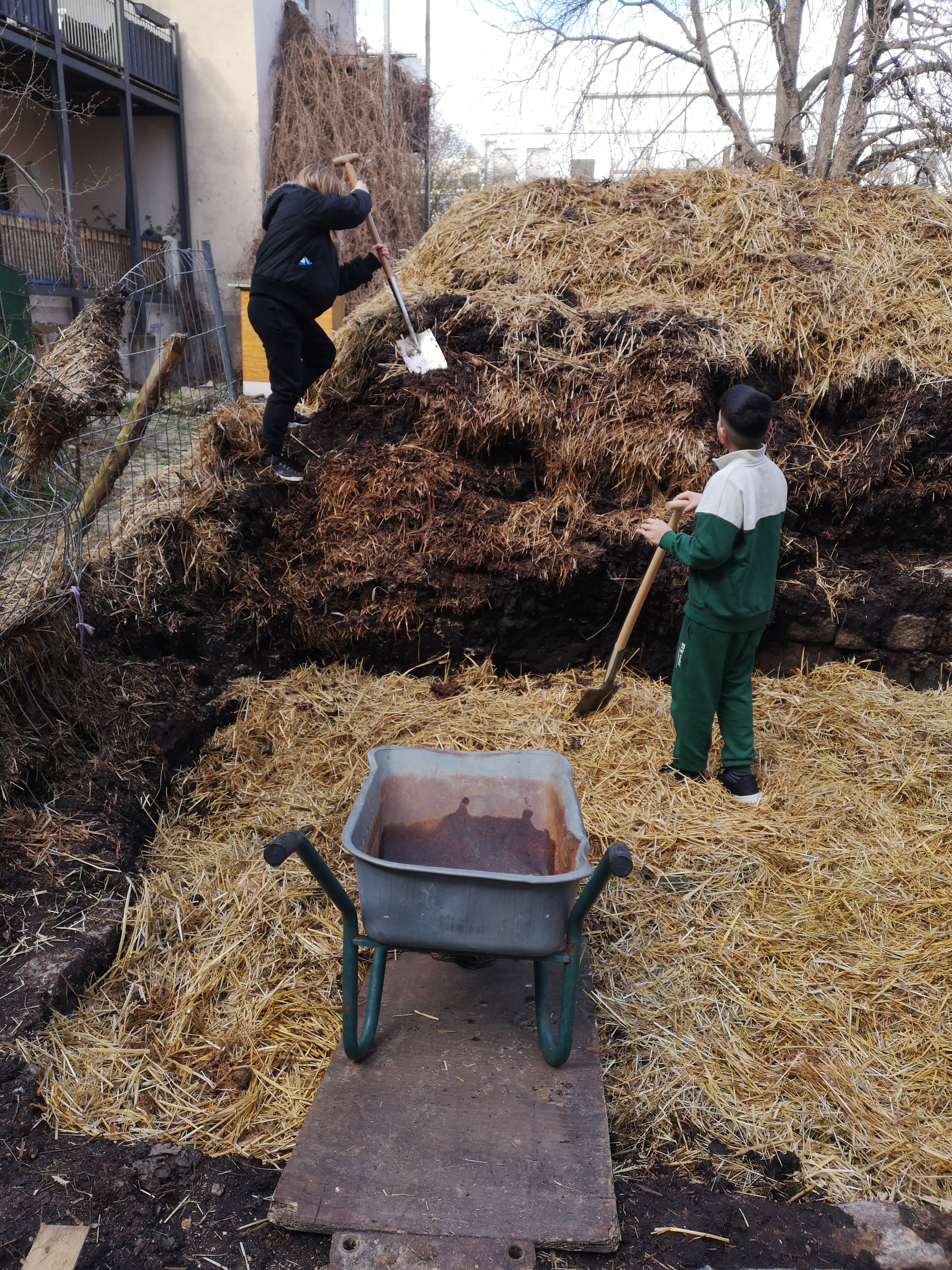 BNE_Curioso_Mist für Hochbeete.jpg