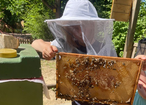Kind beim Imkern