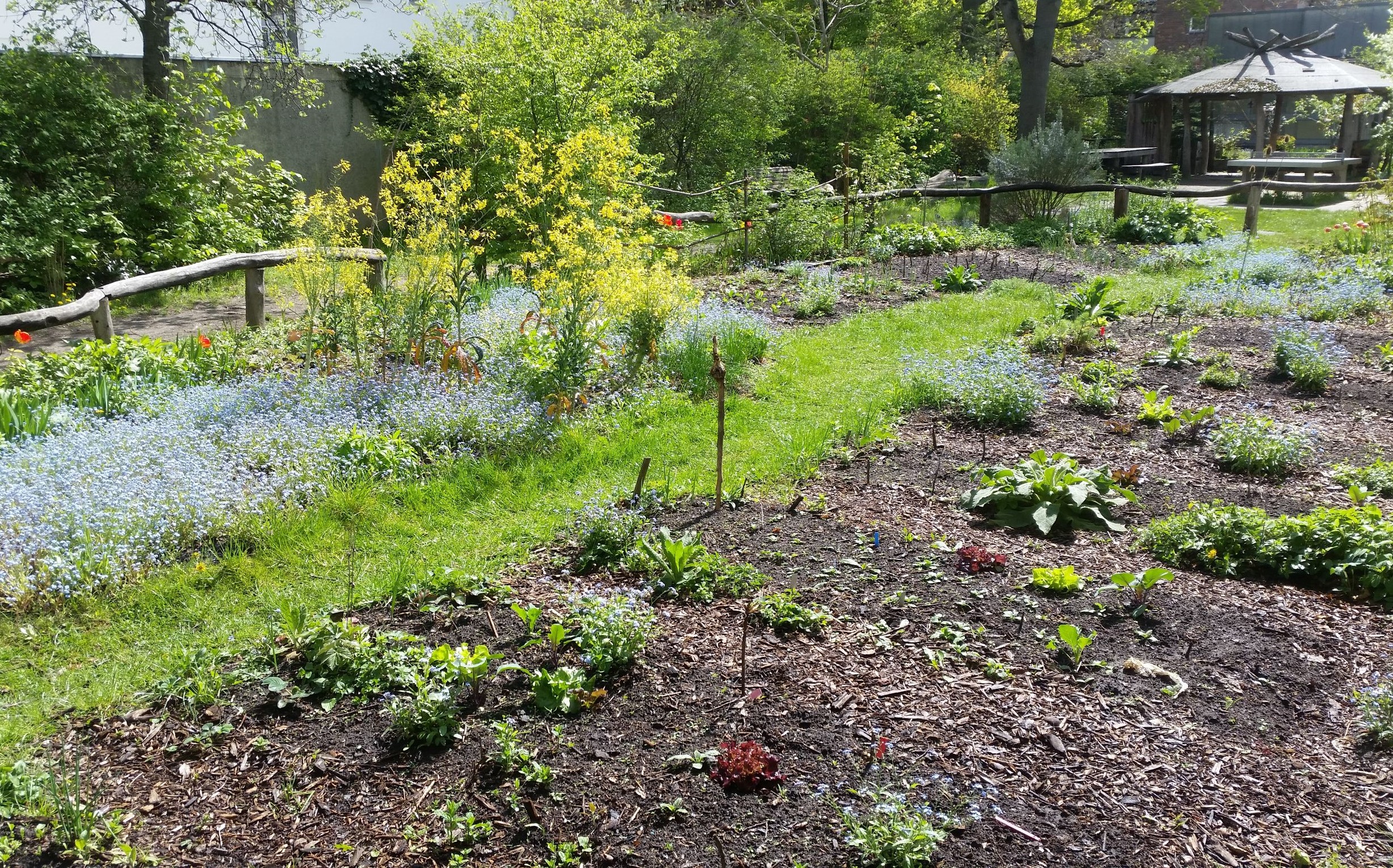 Schulgarten Otto-Wels-Grundschule