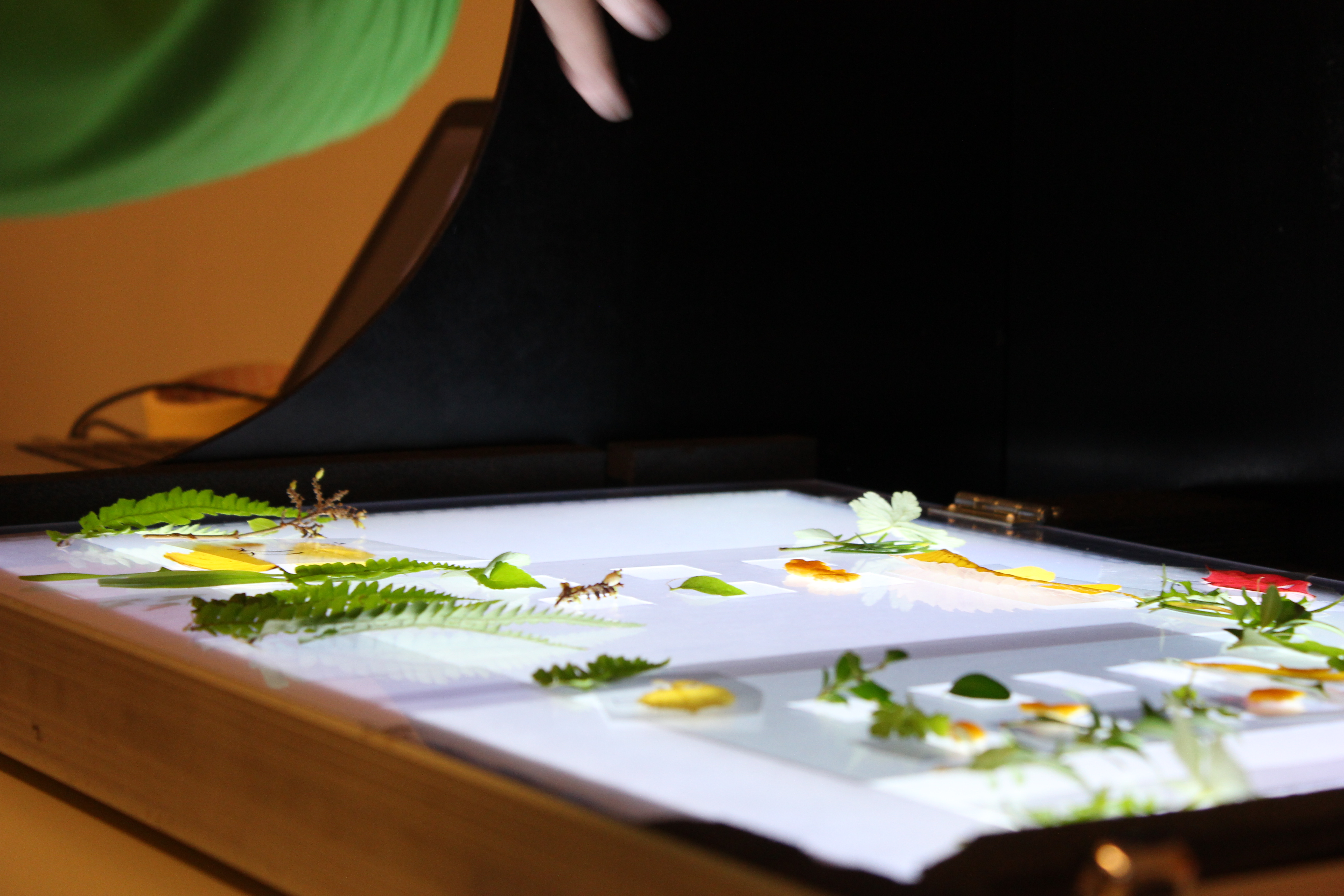 Übers Klima kommunizieren PFH