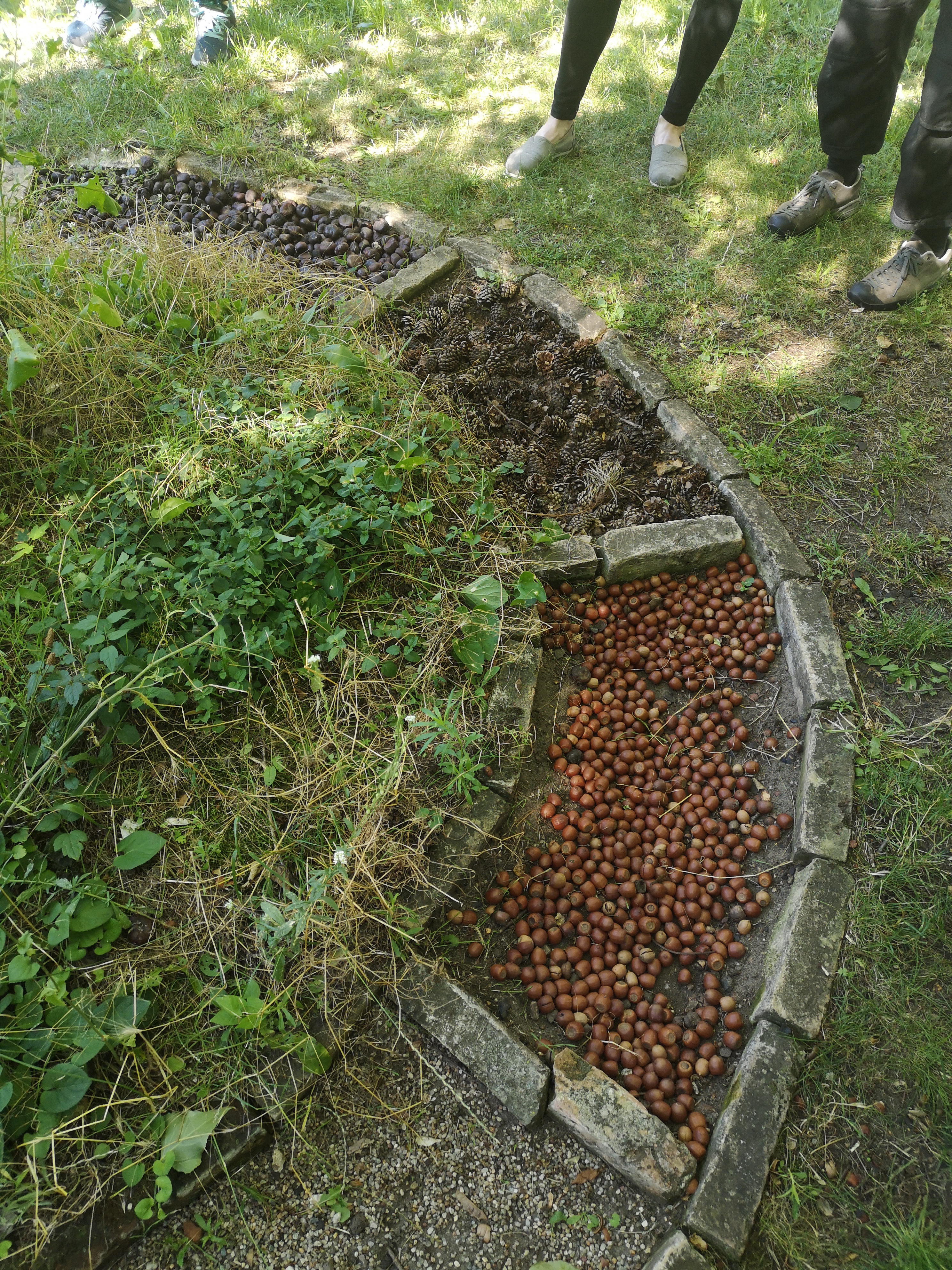 Community of Practice