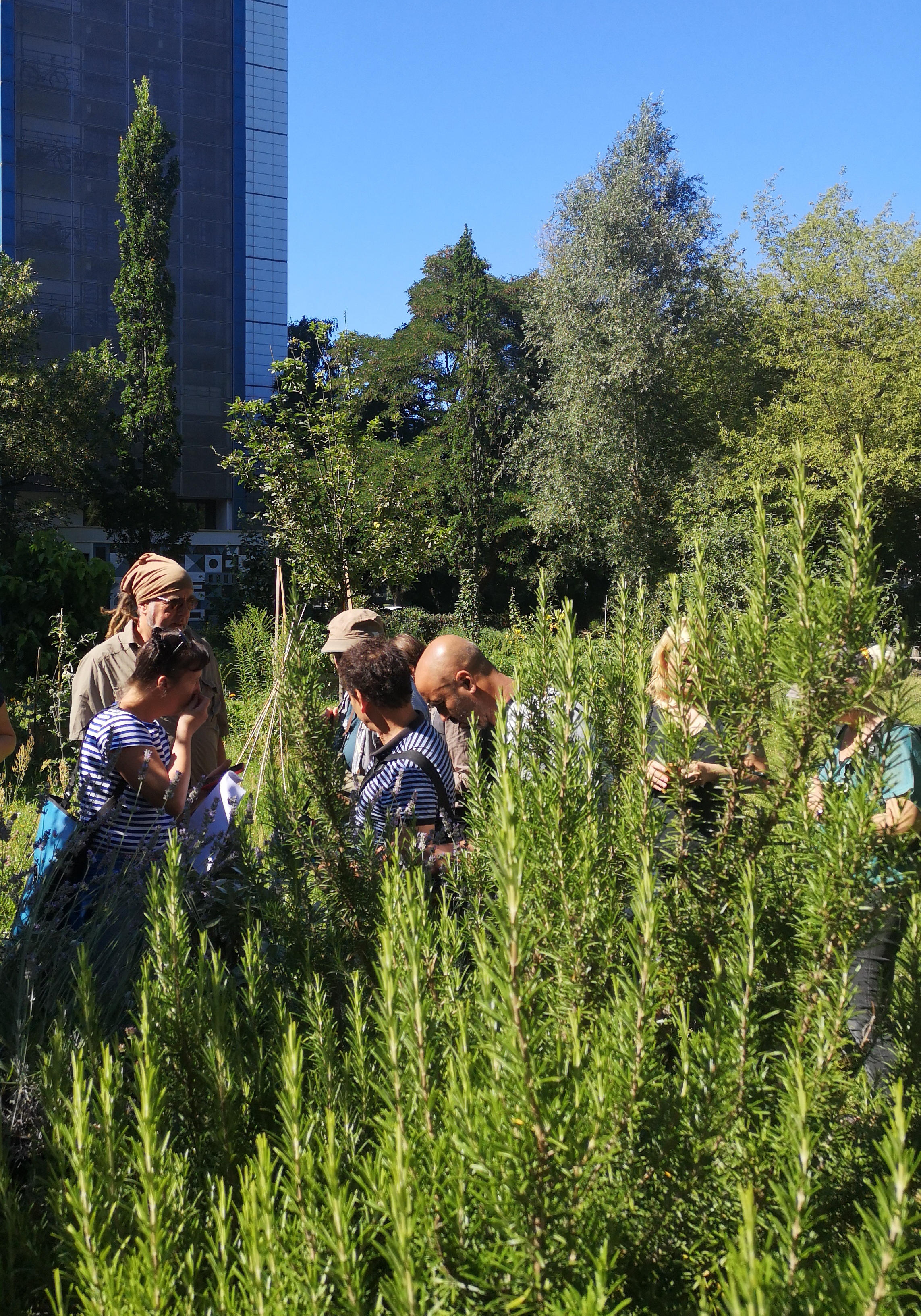 Community of Practice