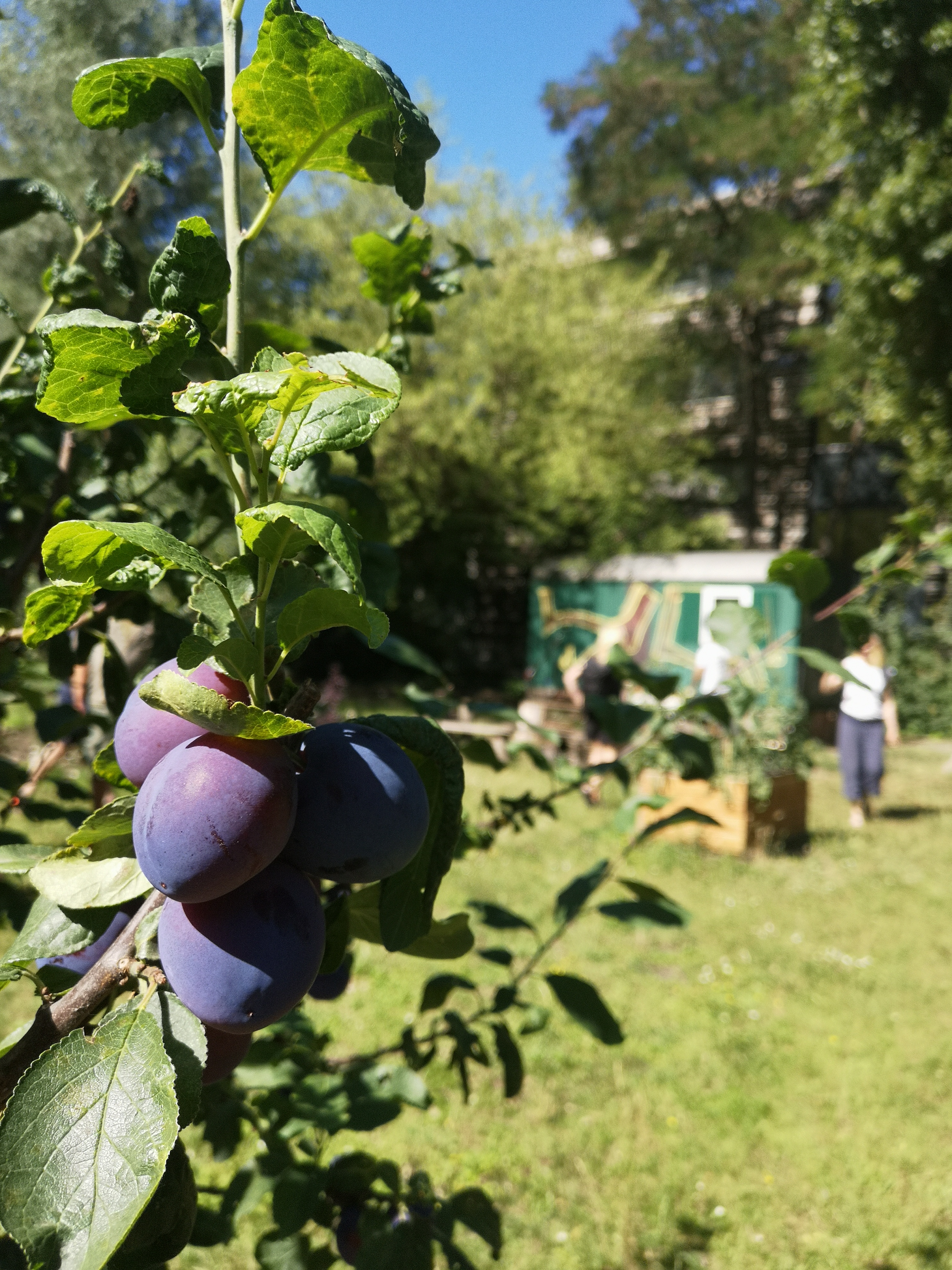 Community of Practice