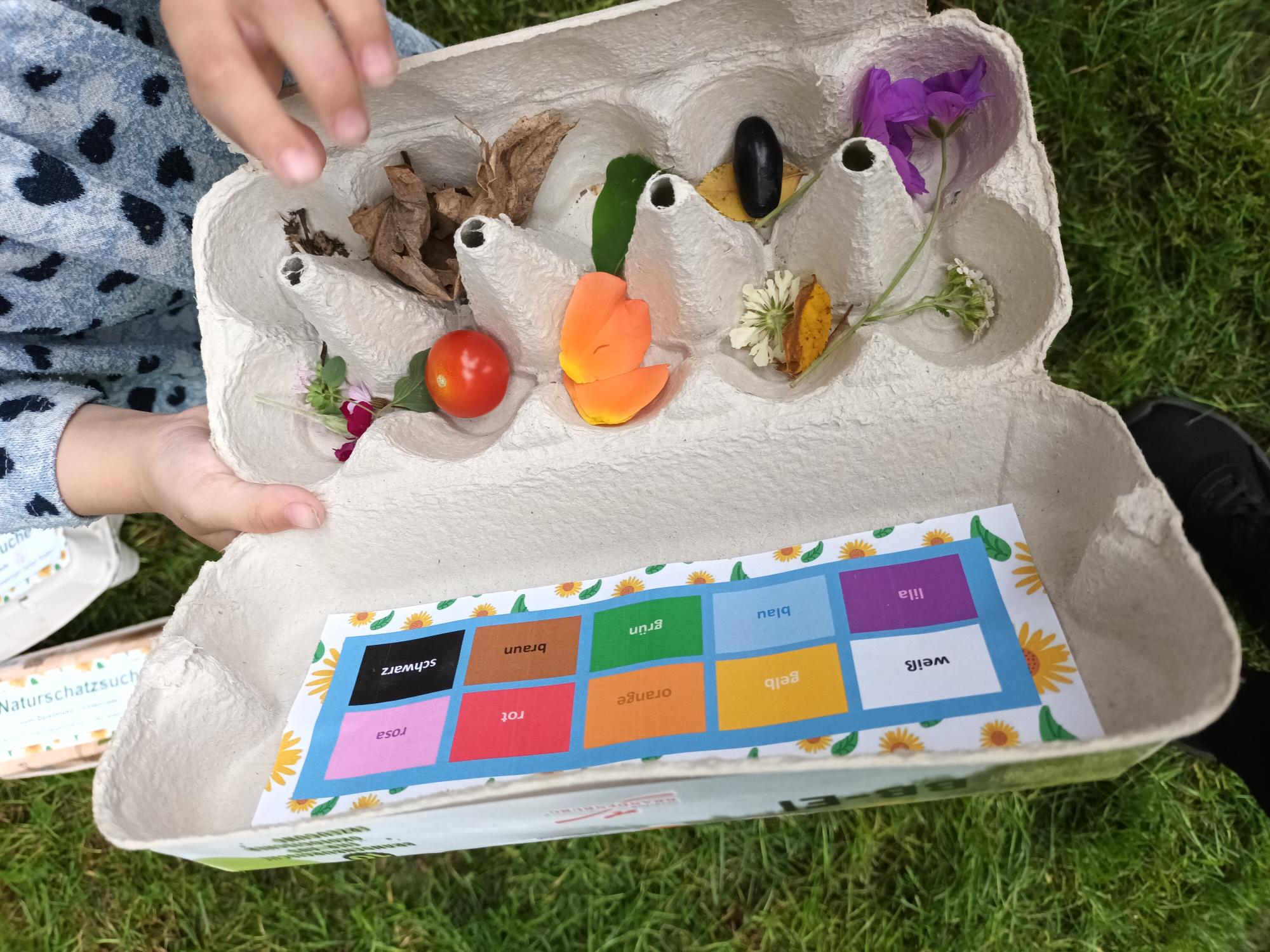 Picknick Bornhagenweg4