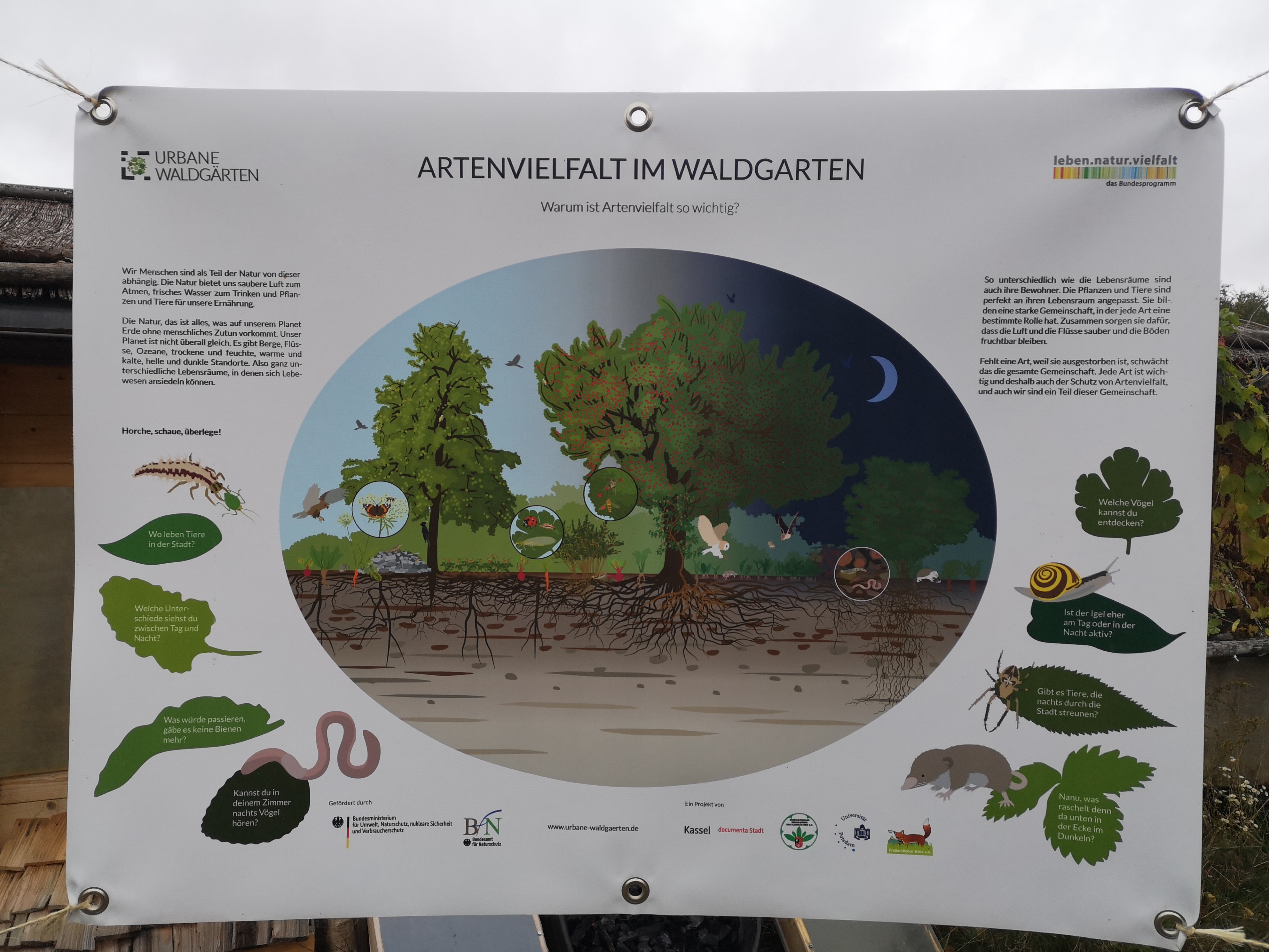 Community of Practice besucht den Waldgarten Berlin-Britz