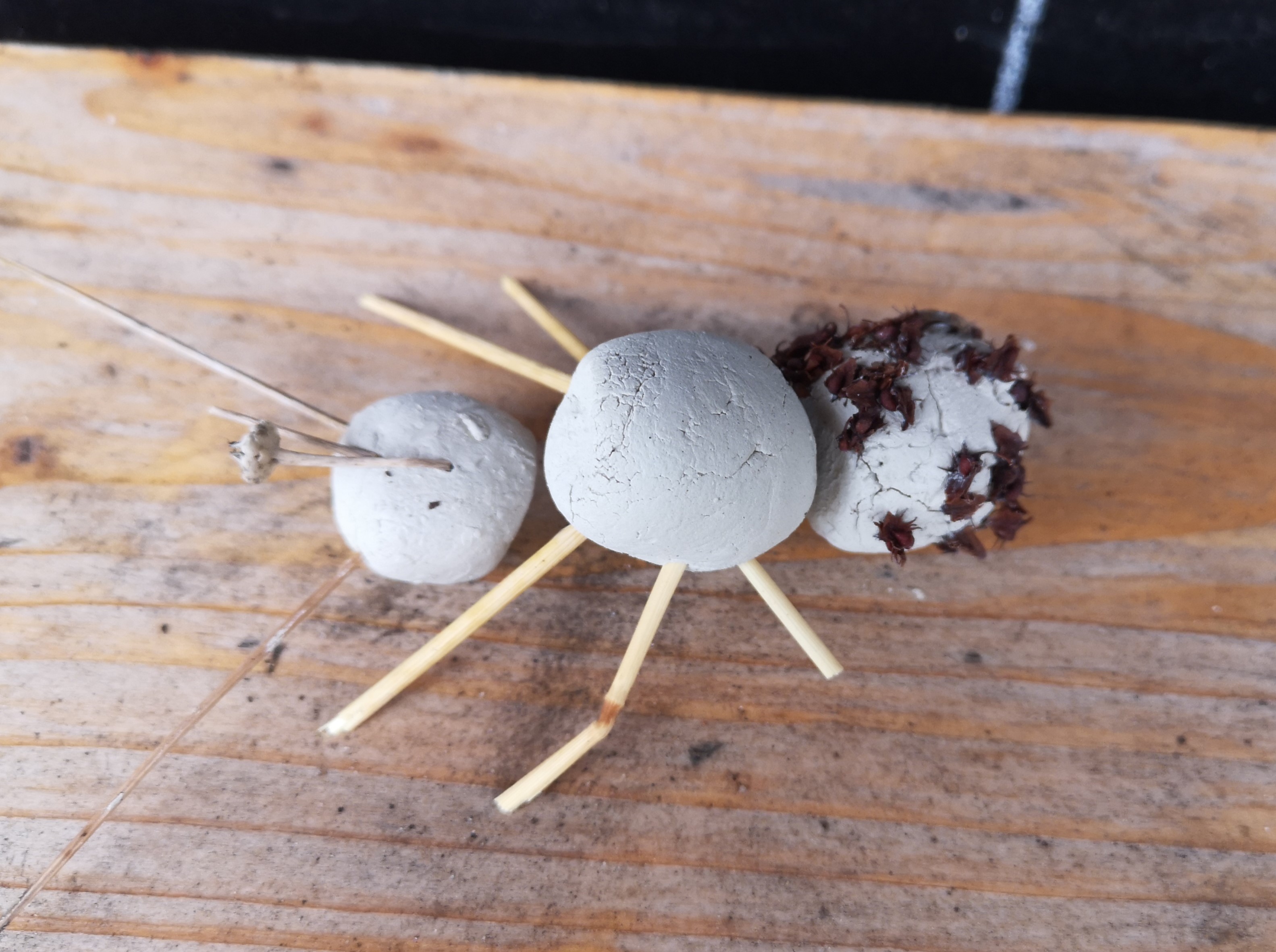 Community of Practice besucht den Waldgarten Berlin-Britz