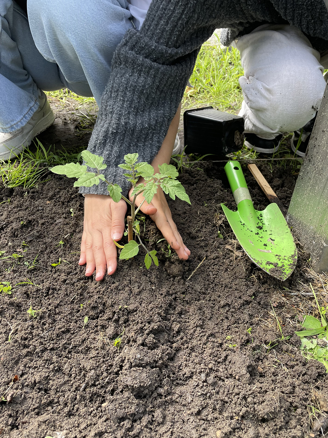 NWP_Fliederbusch GS_Schulgarten_01_Nina Gawantka