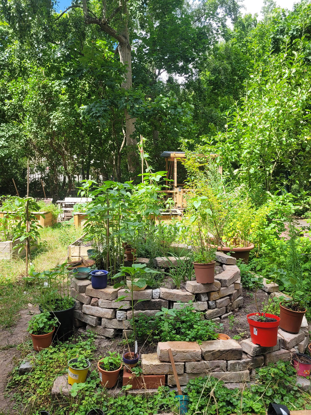 NWP_Neumark GS_Kräuterspirale_04_Maria Wolpert