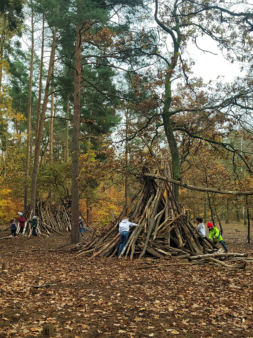 NWP_Neumark GS_ Waldtag_01b_Maria Wolpert