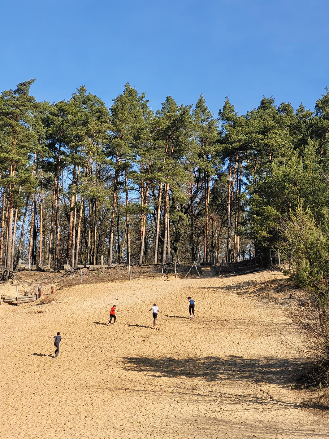 NWP_Neumark GS_Waldtag_02_Maria Wolpert