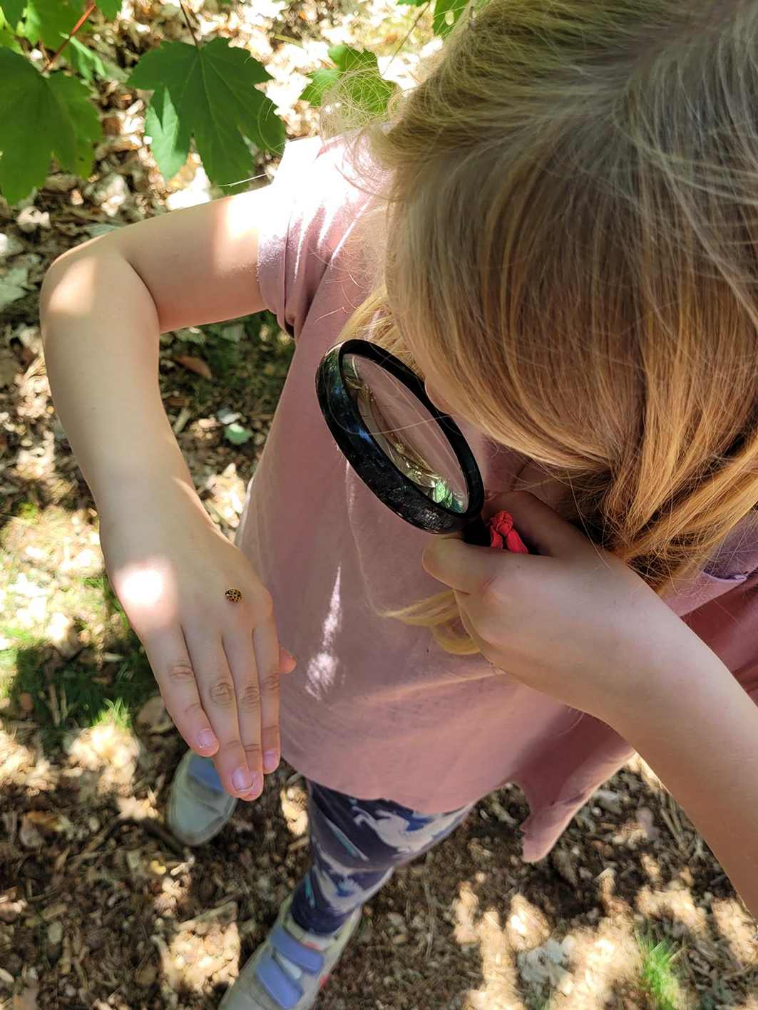 NWP_Neumark GS_Waldtag_04b_Maria Wolpert