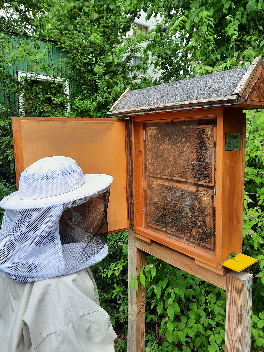 NWP Fichtelgebirge GS_Imkern2_Tabea Kuberski