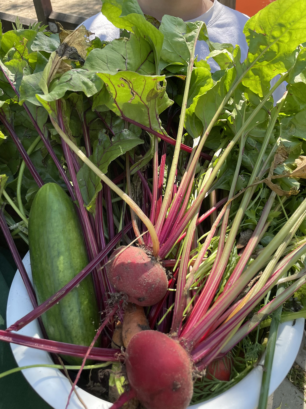 NWP Fliederbusch GS_Garten6_Nina Gawantka