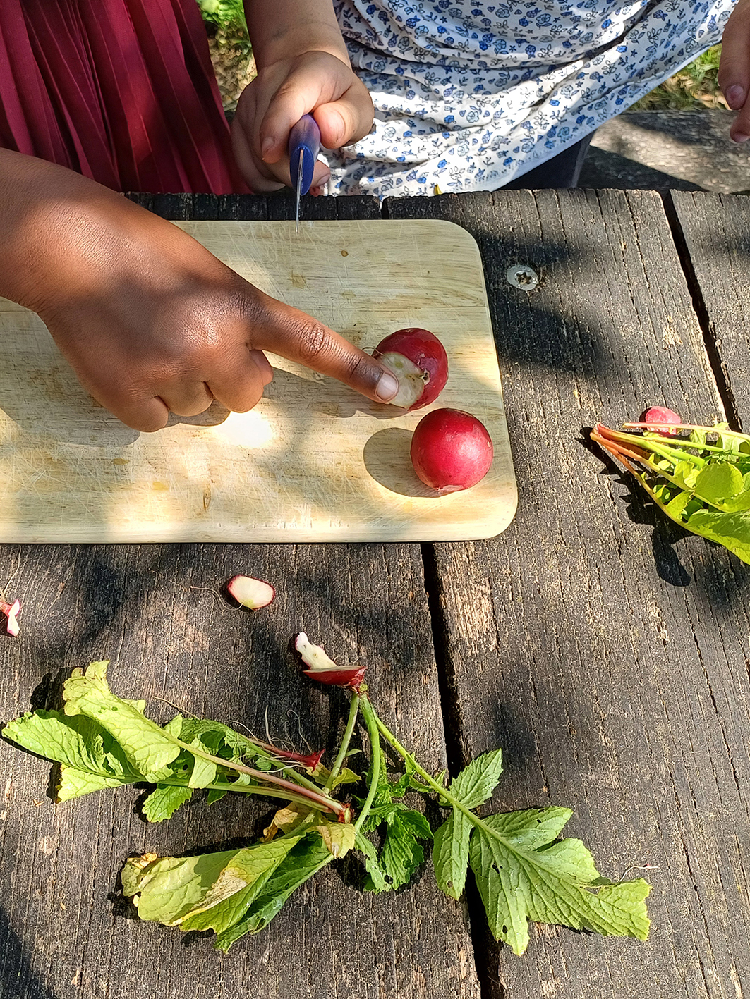 NWP Otto Wels GS_Garten_Stefanie Freitag