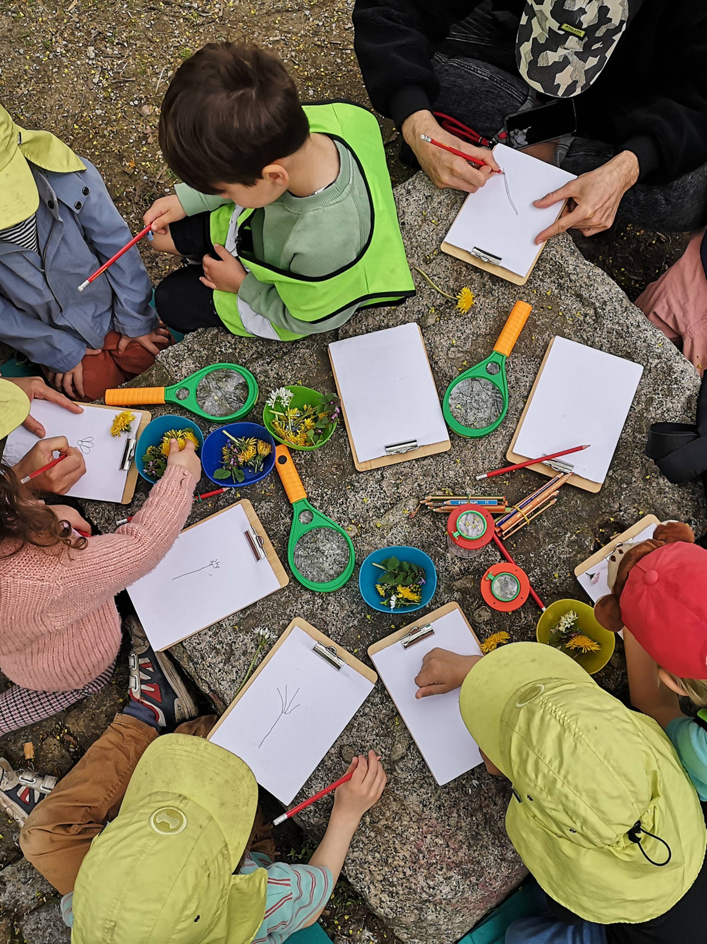 Kinder sitzen im Freien um einen Steintisch und untersuchen Pflanzen. Mit Lupen betrachten sie Blüten und Blätter, während sie ihre Beobachtungen auf Klemmbrettern zeichnen.