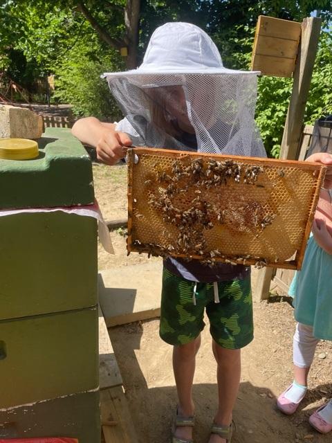 Bienen und Imkerei