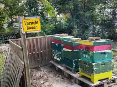 Imkerei an der Sternberg-Grundschule, Pestalozzi-Fröbel-Haus Berlin