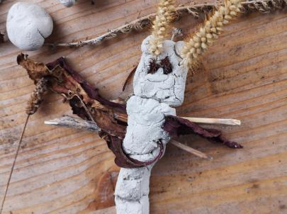 Community of Practice besucht den Waldgarten Berlin-Britz