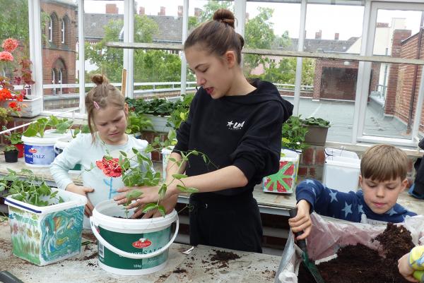 Profilkurs Natur Gewächshaus