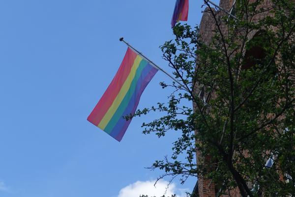 Regenbogenflagge weht am Gebäude des PFH