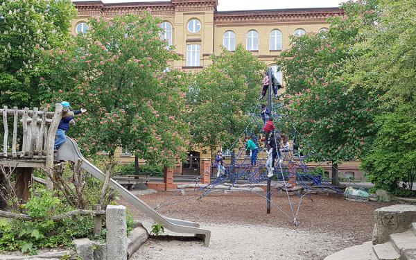 Neumark Grundschule OG