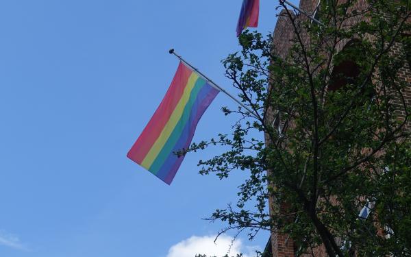 Regenbogenflagge weht am Gebäude des PFH